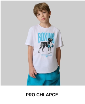 PRO CHLAPCE