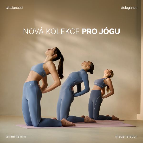 PRO JOGU